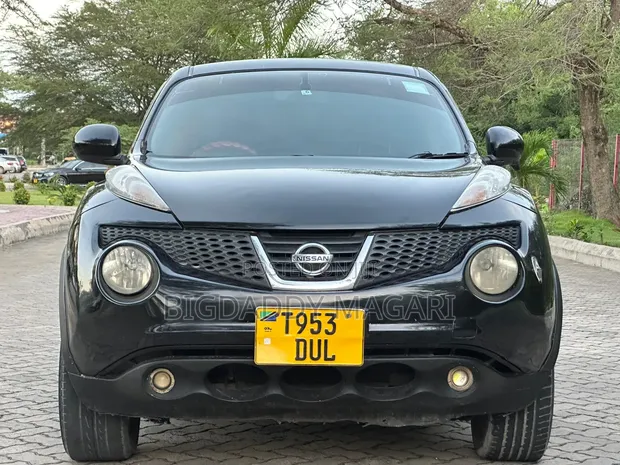 Nissan Juke 2011 - 1