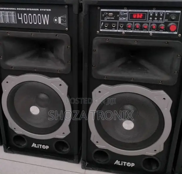 Alitop Professional Speaker SP 9031 (4000W) - 1
