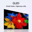 TCL 50-Inch QLED Google TV (S5K) - 4