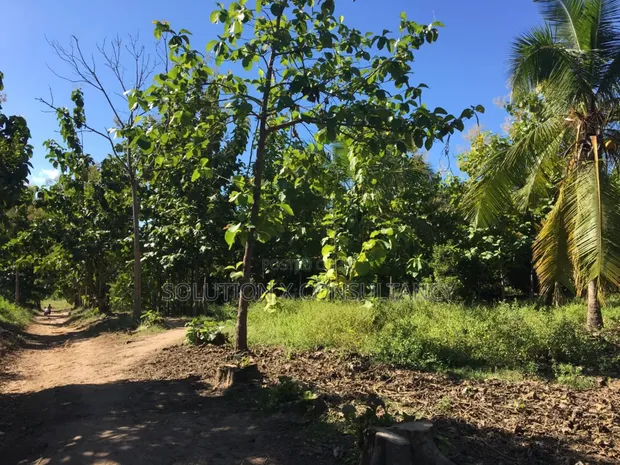 Farm Land with Teak and Mango Trees for Sale, Morogoro - Ifakara - 1