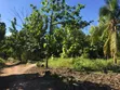 Farm Land with Teak and Mango Trees for Sale, Morogoro - Ifakara - 1