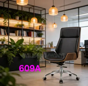 Ergonomic Office Chair - Brand New