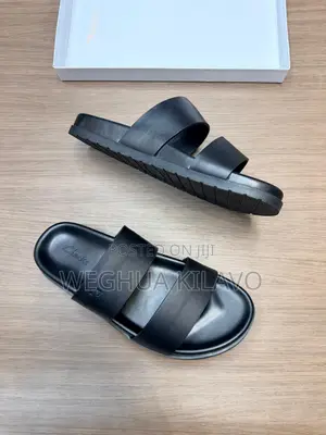 Men's Clarks Sandals