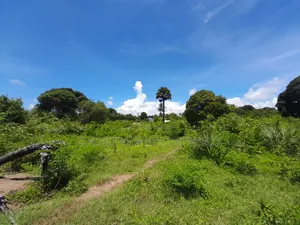 Beach Plot for Sale, Kigamboni Geza Ulole