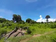 Eneo la Pwani kwa Ajili ya Uuzaji, Kigamboni Geza Ulole - 4