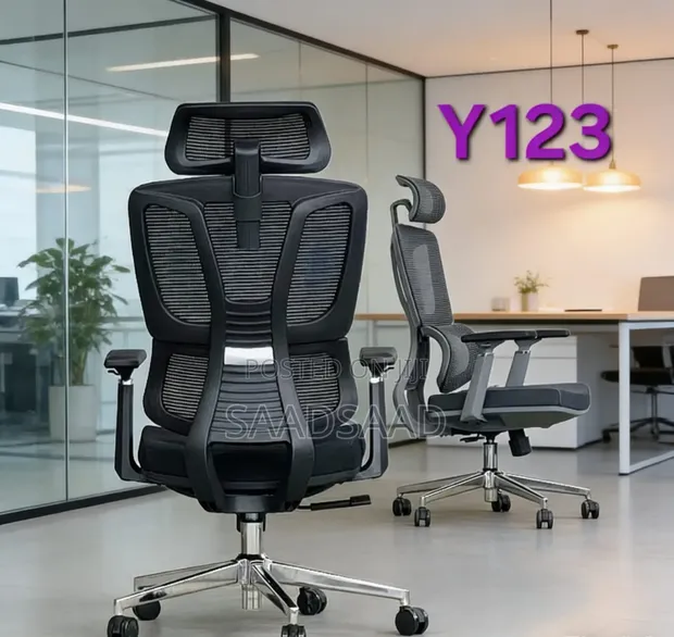 Ergonomic Chair - Brand New - 1