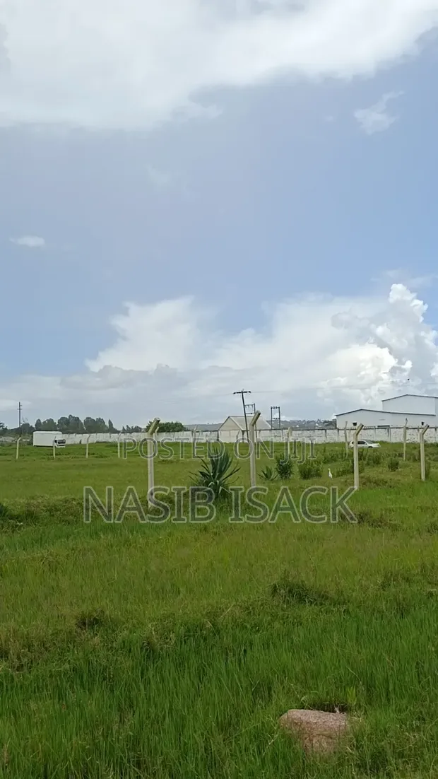 Kiwanja 60,600 sqm Mchanganyiko cha Matumizi, Mwanza - 1