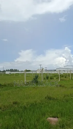 Kiwanja 60,600 sqm Mchanganyiko cha Matumizi, Mwanza