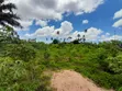 Land for Sale in Kigamboni Mikwambe - 4