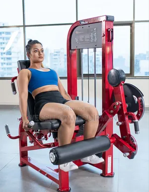Bodygym 2-in-1 Leg Curl & Extension Machine