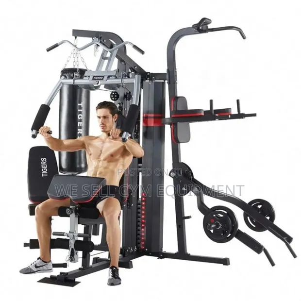 Bodygym Mashine ya Gym ya Nyumbani Yote kwa Moja - 1