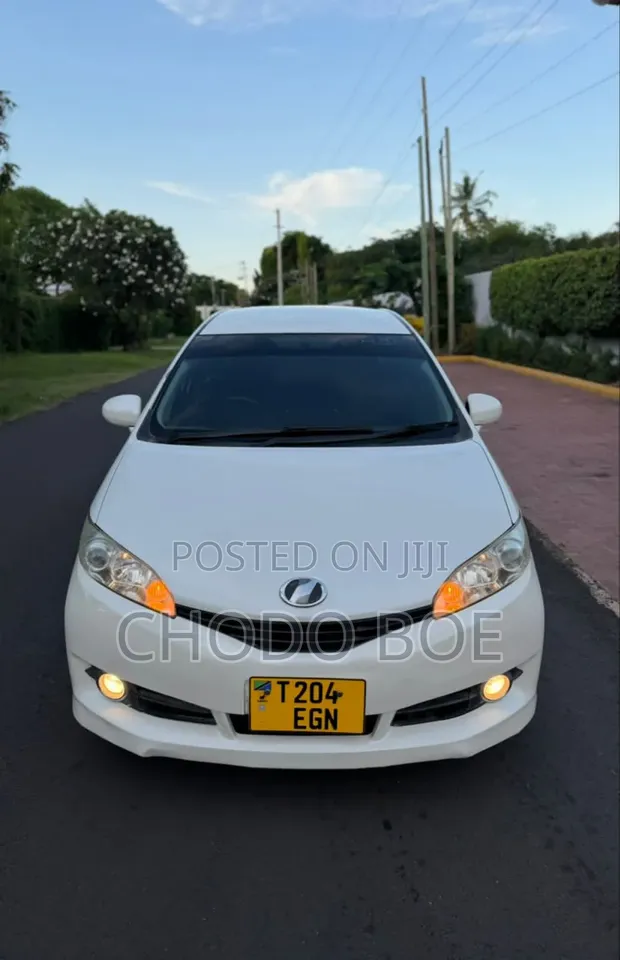 Toyota Wish 2010 Pearl White - 1