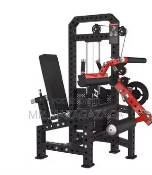 Bodyfit 2-in-1 Leg Extension Curl Machine