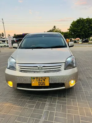 Toyota Raum 2008 Nyeupe