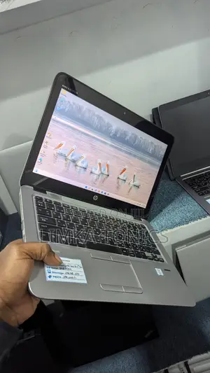 HP EliteBook 820 G3 Laptop - Core i5, 8GB RAM, 256GB SSD