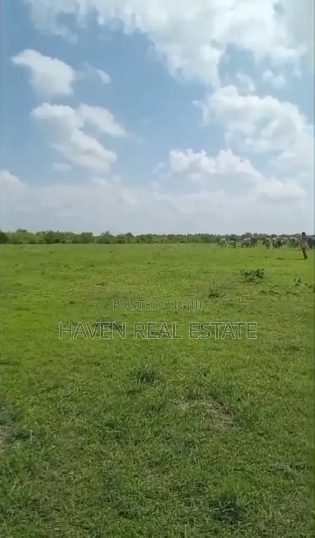 Shamba la Ekari 300 Linauzwa Msoga Bagamoyo - 1