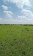 Shamba la Ekari 300 Linauzwa Msoga Bagamoyo - 1