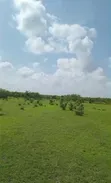 Shamba la Ekari 300 Linauzwa Msoga Bagamoyo - 4