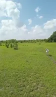 Shamba la Ekari 300 Linauzwa Msoga Bagamoyo - 5