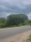 Eneo la Viwanda la Eka 150 Zinauzwa Zinga Bagamoyo - 1