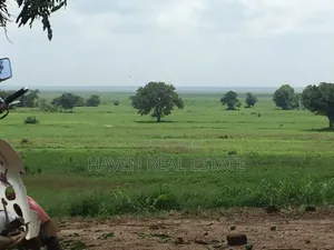 374.7 Acres Farmland for Sale, Ifakara Morogoro