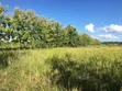 Shamba la Ekari 374.7 Linauzwa Ifakara Morogoro - 5