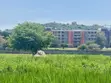 Industrial Plot for Sale - 16,905 sqm, Buhongwa - 3
