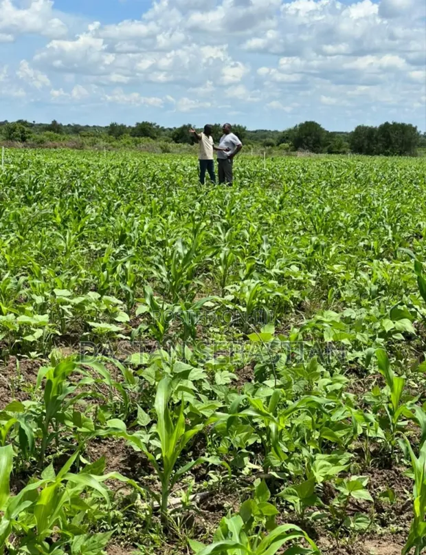 Residential Plots for Sale - Arusha - 1