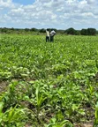 Residential Plots for Sale - Arusha - 1