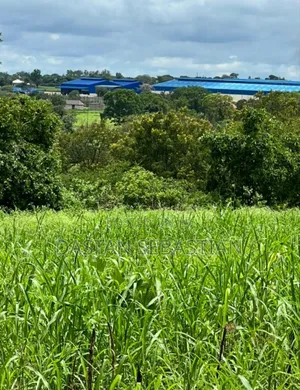 Residential Plots for Sale - Arusha