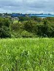 Residential Plots for Sale - Arusha - 2
