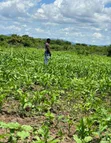 Residential Plots for Sale - Arusha - 3