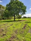 Residential Plots for Sale - Arusha - 4