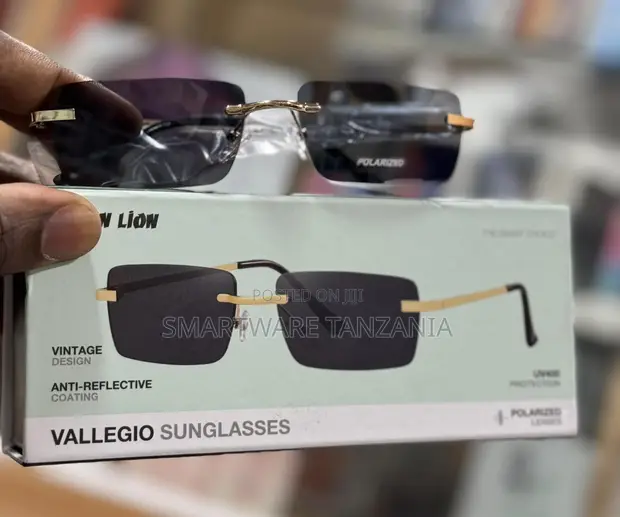 Green Lion Vallegio Vintage Rimless Polarized Sunglasses - 1