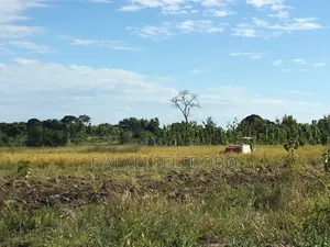 Shamba la Hector 347 kwa Mauzo Ifakara, Morogoro