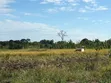 Shamba la Hector 347 kwa Mauzo Ifakara, Morogoro - 1