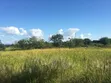 Shamba la Hector 347 kwa Mauzo Ifakara, Morogoro - 2