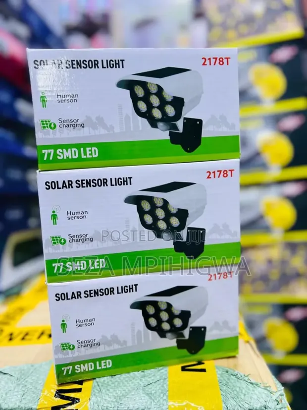 Solar Sensor Light with Automatic Switch - 1