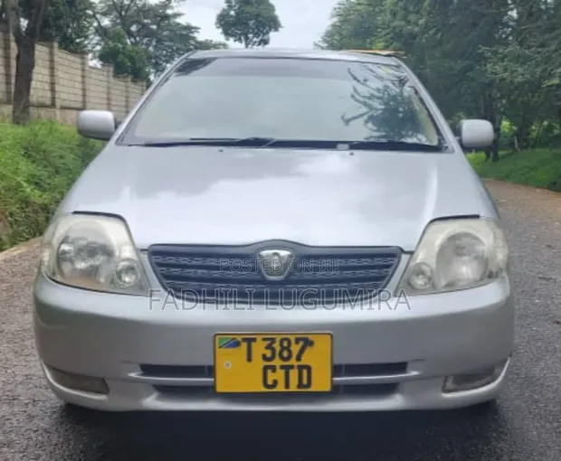 Toyota Allex 2003 Green - 1