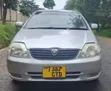 Toyota Allex 2003 Green - 1