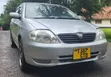 Toyota Allex 2003 Green - 2