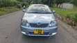 Toyota Allex 2004 Green - 1