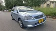 Toyota Allex 2004 Green - 4