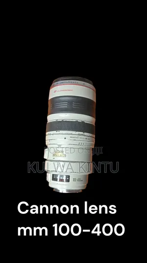 Canon EF 100-400mm f/4.5-5.6L IS USM Zoom Lens