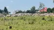 Kiwanja Kinauzwa Buswelu (Karibu na Roundabout ya City Link) - 3