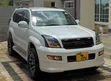 Toyota Land Cruiser Prado 2007 Nyeupe - 3