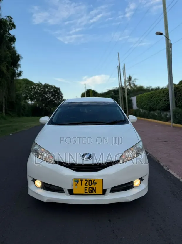 Toyota Wish 2010 Pearl White - 1