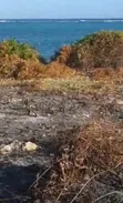 Kiwanja cha Pwani kwa Uuzaji, Makunduchi Zanzibar - 5