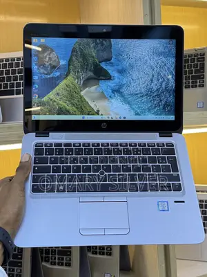 HP EliteBook 820 G4 Laptop - Core i5, 8GB RAM, 256GB SSD