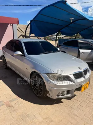 BMW 3 Series 2010 Nyeupe